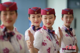 多彩貴州網 重慶 動姐 禮儀培訓備戰鐵路調圖